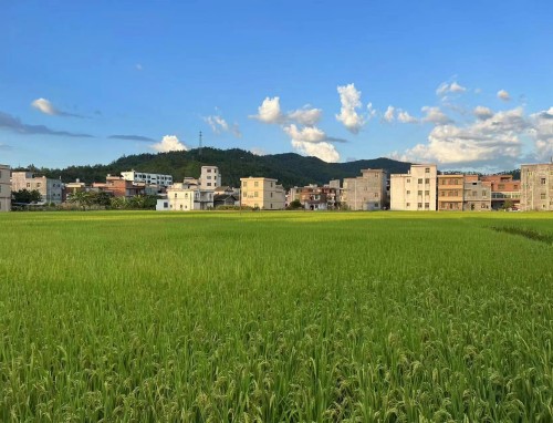 青岛西海岸VS上海申花直播_青岛西海岸VS上海申花免费高清在线直播_青岛西海岸VS上海申花免费直播视频直播 青岛西海岸VS上海申花直播_青岛西海岸VS上海申花免费高清在线直播_青岛西海岸VS上海申花免费直播视频直播